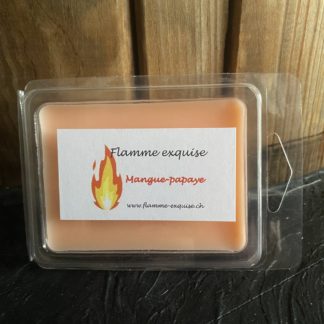 Galets pour diffuseur mangue-papaye