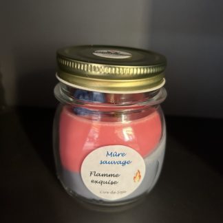 Bougies Mûre sauvage