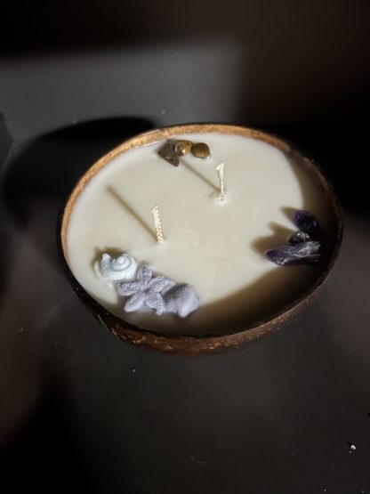 Bougie menthe citronnée noix-de-coco