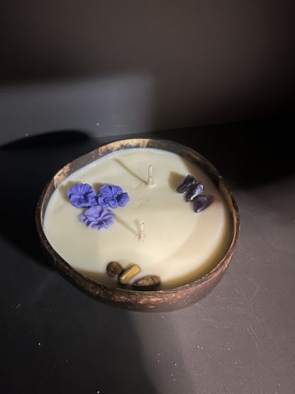 Bougie mimosa noix-de-coco