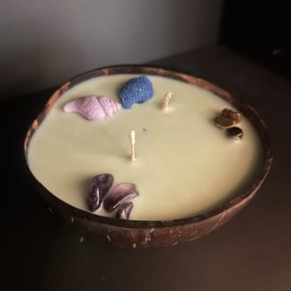 Bougie mojito noix-de-coco