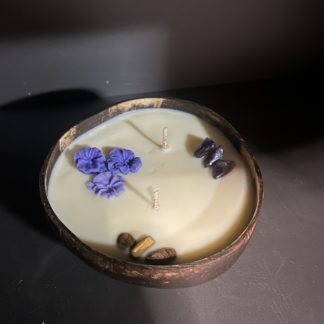 Bougie mimosa noix-de-coco