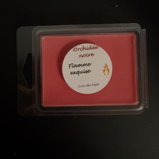 Galets pour diffuseur Orchidée noire