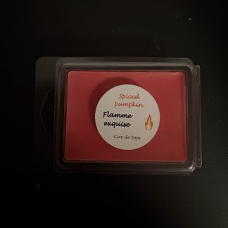 Galets pour diffuseur Spiced Pumpkin