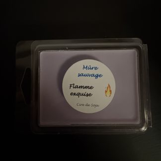 Galets pour diffuseur Mûre sauvage